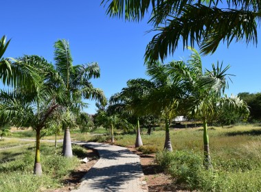 VISITE O PARQUE DA CIDADE