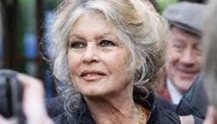 38bbfc08ad17d1500b4974c335ce