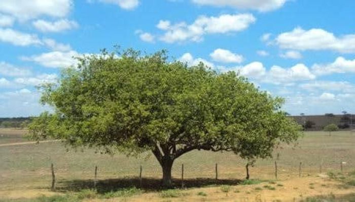 484791149_3904882626427298_5286117663464105918_n