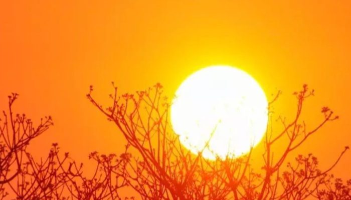 574246219_4127872484128310_8481840463119546866_n