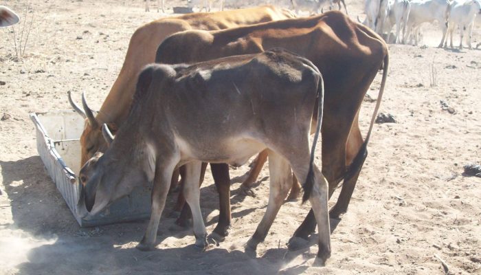 574482523_4129135050668720_9035532436617001590_n