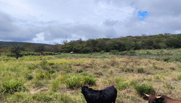 577428246_4135056200076605_1712766547260547207_n