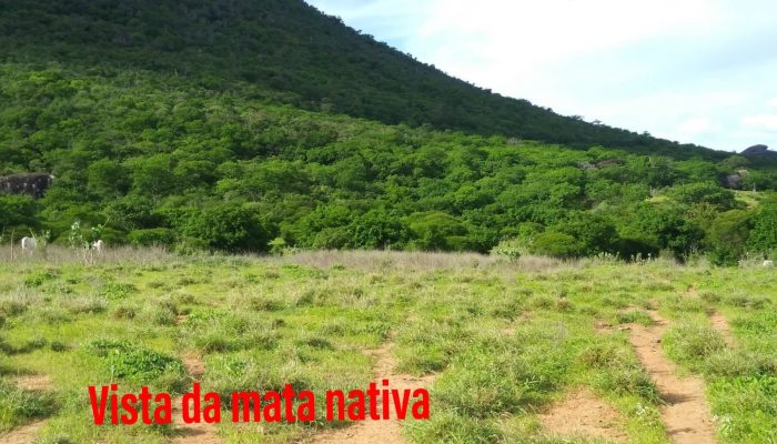 611662407_4188110231437868_7361917502564525066_n