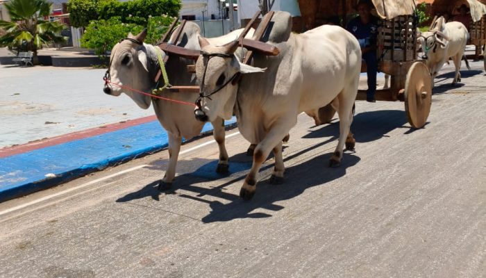 629881796_25728317106838283_4712523853106969570_n