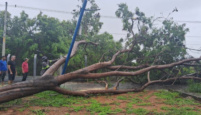 641613565_4236127853302772_2374710349095938429_n