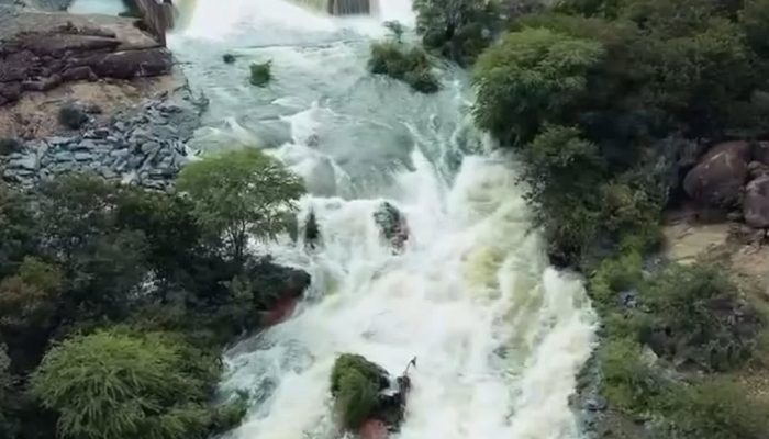 648453949_4245840315664859_8062041361763730886_n