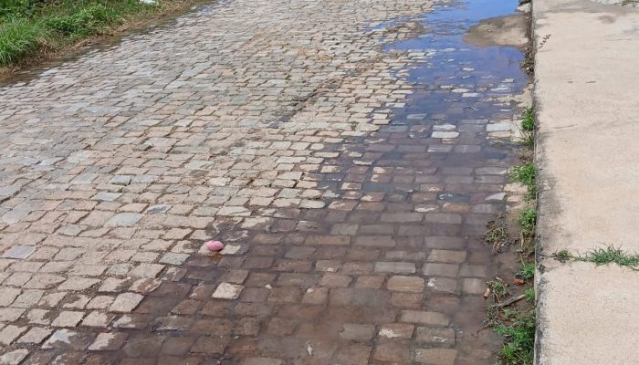 657182408_4261696317412592_7487060607088022462_n (1)