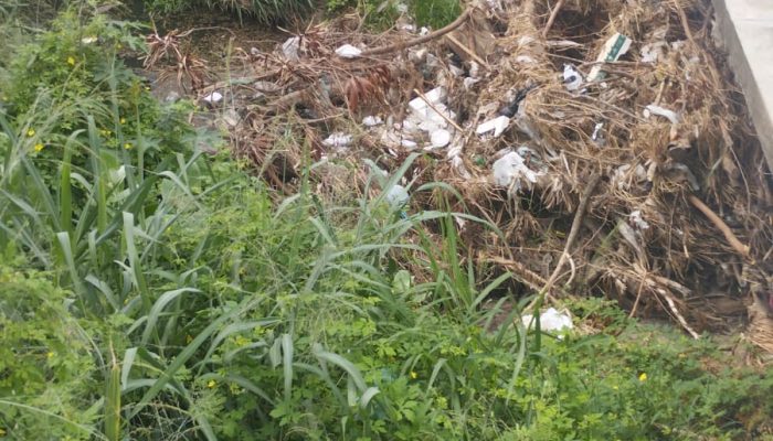 672673448_4285011485081075_4366670326055771311_n