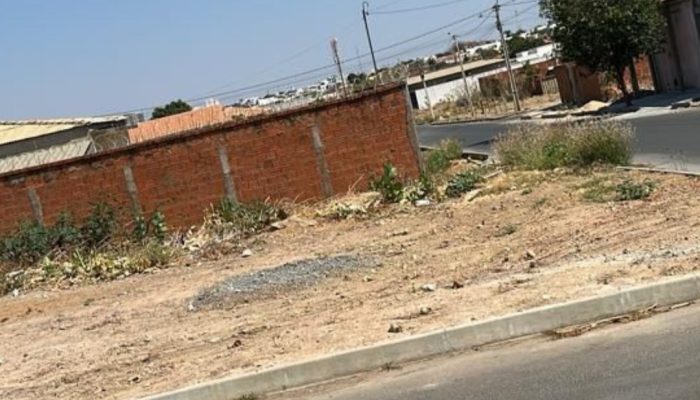 LOTE IPANEMA 2