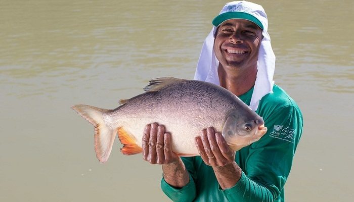 pescado
